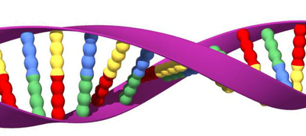 illustration of dna